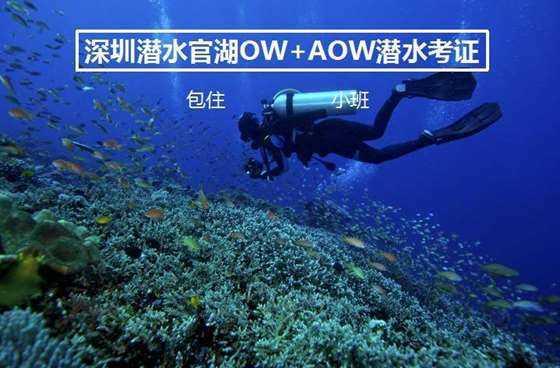 全国春节“村晚”来咯!三江主会场发布精彩看点
